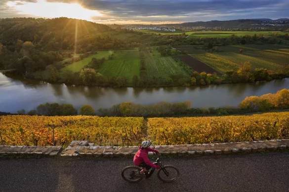 Amadeus River Cruises, Amadeus Amara, Active Excursions 13.54.14.jpg